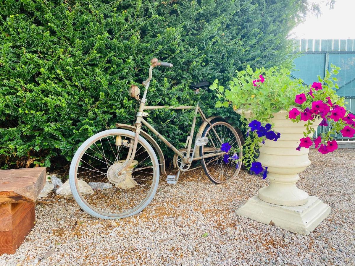 Aux Berges Du Libre Bed & Breakfast Felines-Termenes Exterior photo